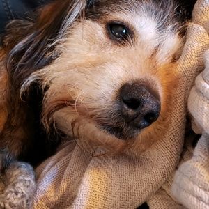 Meet your Posher, Stacy